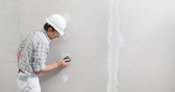 Mold Odor Removal Services